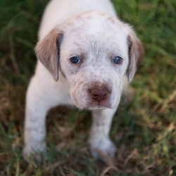 Finn(egan)